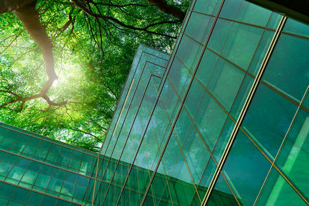 side of modern green glass building seen looking upwards with tree and sunlight far above