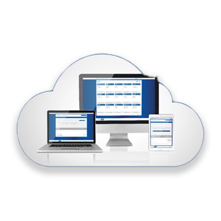 icon of cloud shape containing desktop monitor tablet device and mobile phone screens showing the same application interface