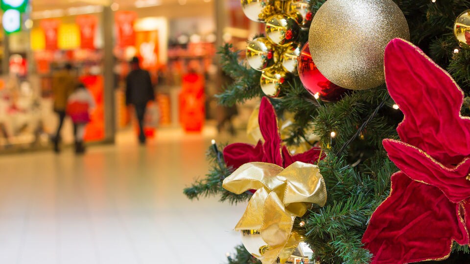 interior of retail shopping mall with holiday decorations and poinsettia flowers in the foreground